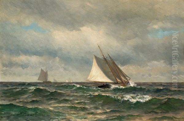 Sailing On A Summer Day - view 1