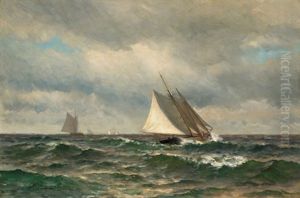 Sailing On A Summer Day