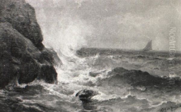 Rocky Coastal Marine Scene - view 1
