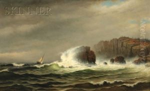 Stormy Coast Stormy Coast