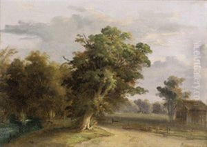 Landschaft Mit Bach Und Weide