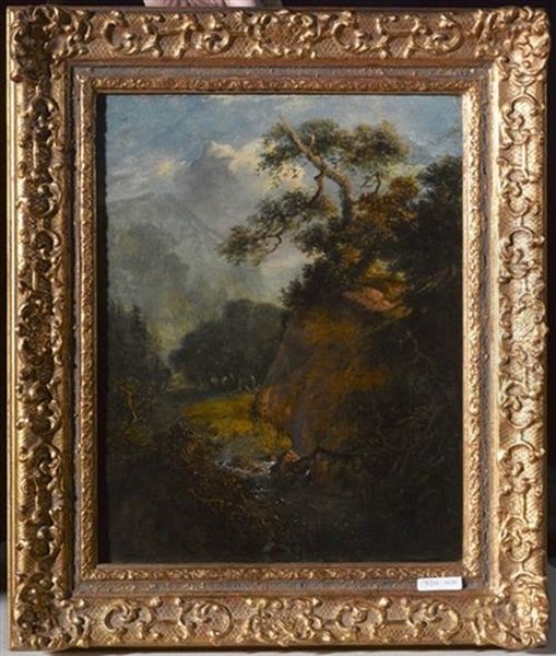 Gebirgslandschaft Mit Wald - view 1