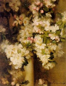 Apple Blossom Apple Blossom