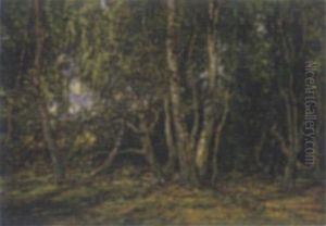 Waldinneres