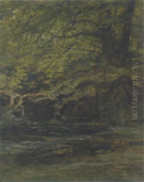 Waldbach - view 1