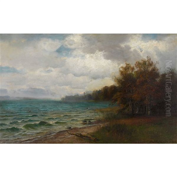 Bewolkte Seelandschaft - view 1