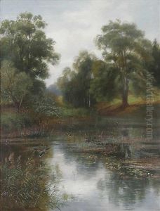 Schilfbewachsener Teich Mit Enten Und Baumen Im Hintergrund Schilfbewachsener Teich Mit Enten Und Baumen Im Hintergrund