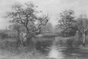 Moorlandschaft Mit Enten Moorlandschaft Mit Enten