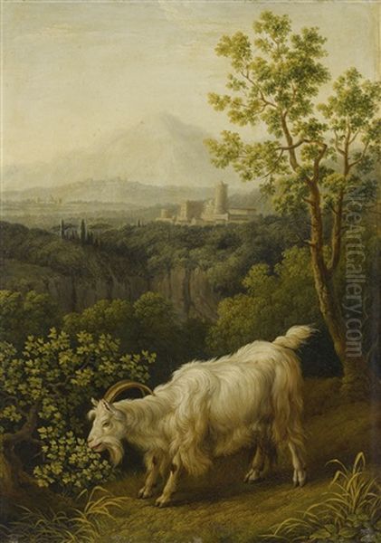 A Male Goat In An Italianate Landscape - view 1