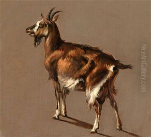 Study Of A Goat by Jacob Philipp Hackert