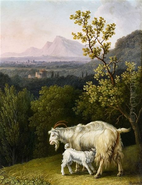 A Goat And Kid - view 1