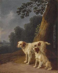 Zwei Hunde In Einer Landschaft