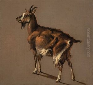 Ziege Ziege