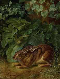 Hase Im Gebusch