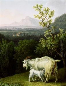 Eine Ziege Mit Ihrem Zicklein In Einer Toskanischen Landschaft Eine Ziege Mit Ihrem Zicklein In Einer Toskanischen Landschaft