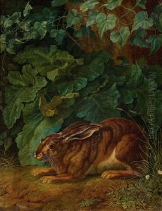 Hase Im Gebusch