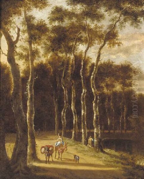 A Woman And Donkeys On A Wooded Track - view 1