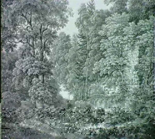 Waldlichtung Mit Mauerresten Auf Dem Weg Rieter Mit Hunden Wanderer Und Einem Rastenden - view 1