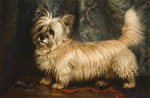 Portrait Of A Skye Terrier by Nellie Hadden