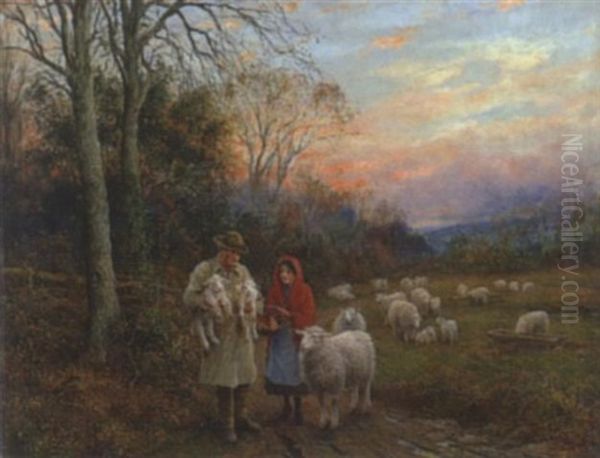 Schafherde Mit Hirte In Abendstimmung - view 1