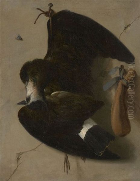 Vaneau Huppe Et Sarcelle D'hiver - view 1