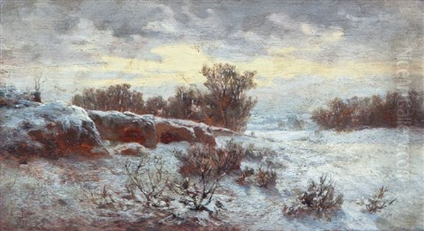Paisaje Invernal - view 1