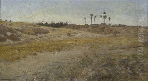 Palmeral De Elche - view 1
