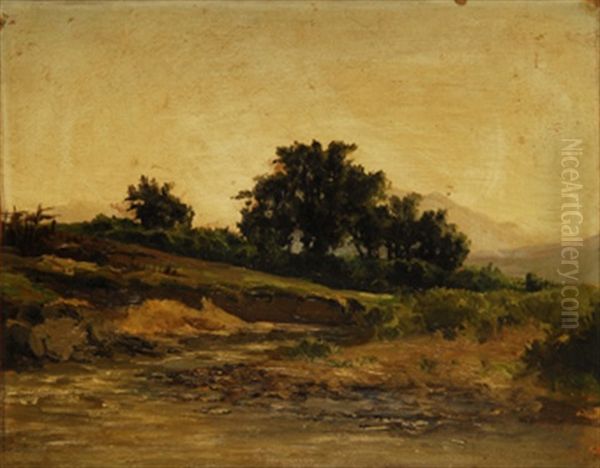 Paisaje De Campo Al Atardecer - view 1