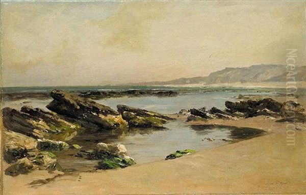 Rocas En La Playa - view 1