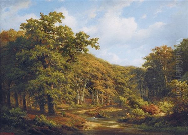 Forest With The River Alster - view 1