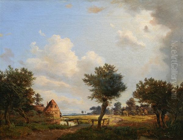 In The Elbe Marshes - view 1
