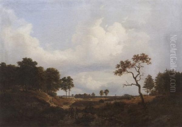 Kustenlandschaft An Der Ostsee - view 1