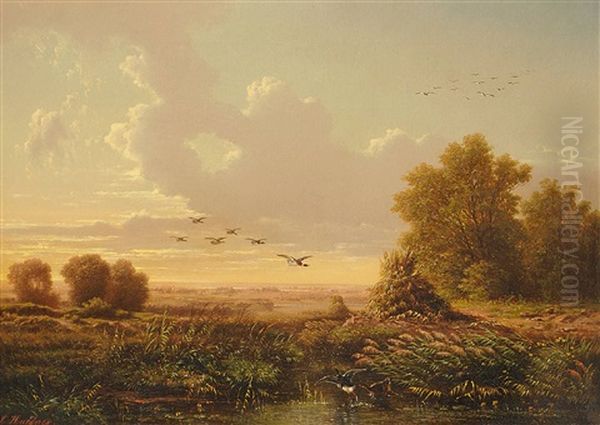 Fliegende Enten Uber Dem Dachauer Moos - view 1