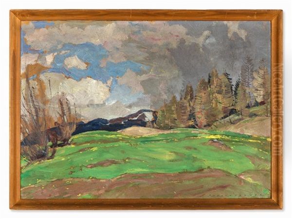 Early Spring In Trins - view 1