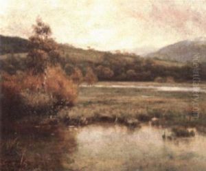 Marsh In Autumn