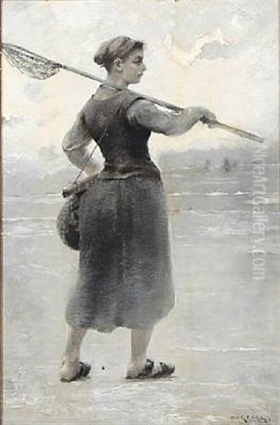A Seashell Collector - view 1