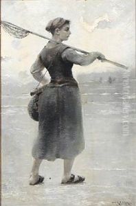 A Seashell Collector