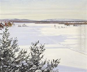Sonnige Winterlandschaft In Schweden Sonnige Winterlandschaft In Schweden
