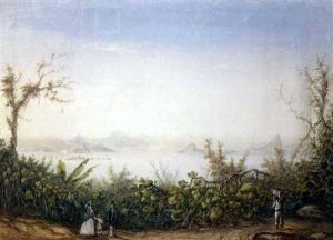 Morro De Ste Theresa (rio De Janeiro)