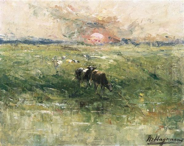 The Polders At Daybreak - view 1