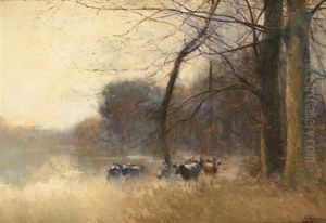 Troupeau Au Lever De Brume