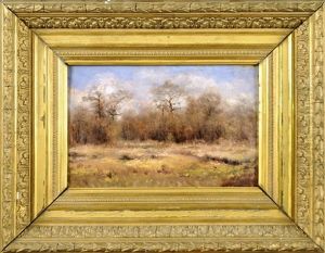 Sous-bois