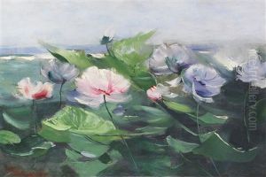 Wasserrosen