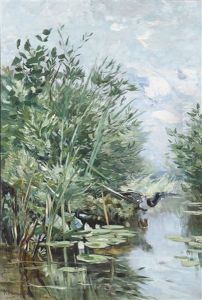 Teichlandschaft Mit Auffliegender Stockente Teichlandschaft Mit Auffliegender Stockente