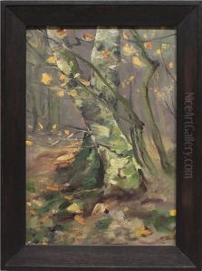Herbstliches Waldinneres Mit Birke