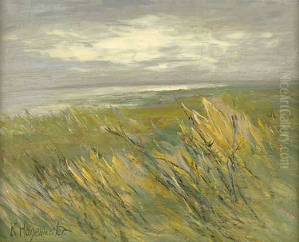 Dunenlandschaft - view 1