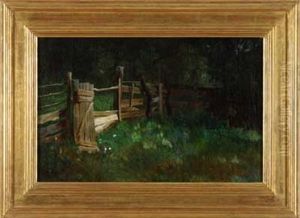 Waldlichtung Mit Zaun