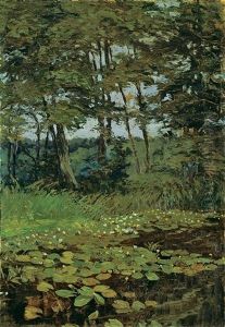 Waldlichtung Mit Seerosen