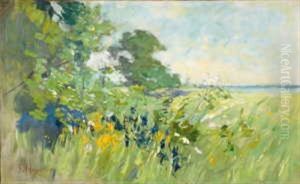 Sommerliche Uferlandschaft Sommerliche Uferlandschaft