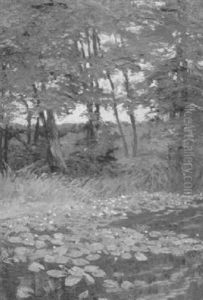Waldlichtung Mit Seerosen Bei Ferch